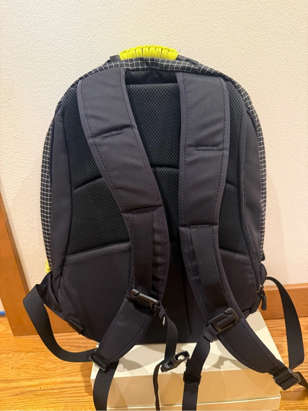 Tom Bihn Synapse Backpack – OG
